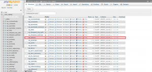 Err Too Many Redirect WordPress